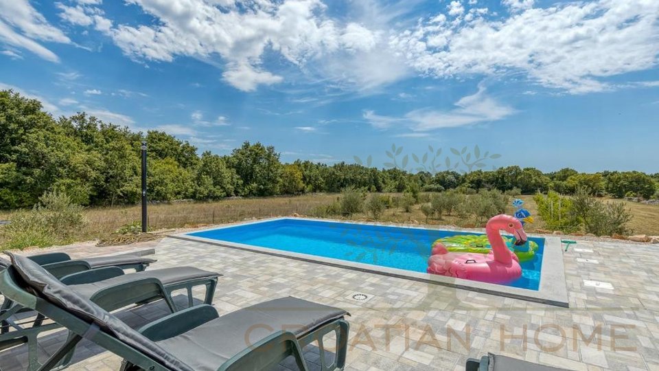 Дом с бассейном на участке площадью 10 800 м² и оливковой рощей