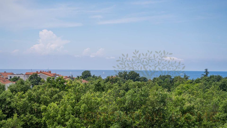 House, 290 m2, For Sale, Poreč